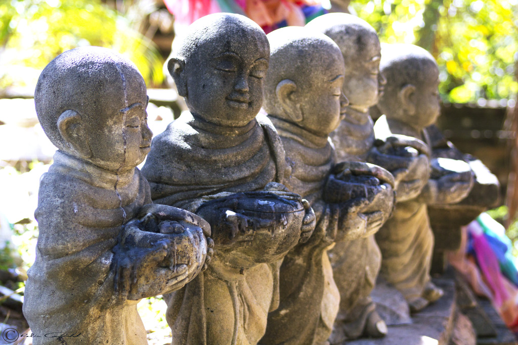 Monks In Line Chiang Mai, Thailand