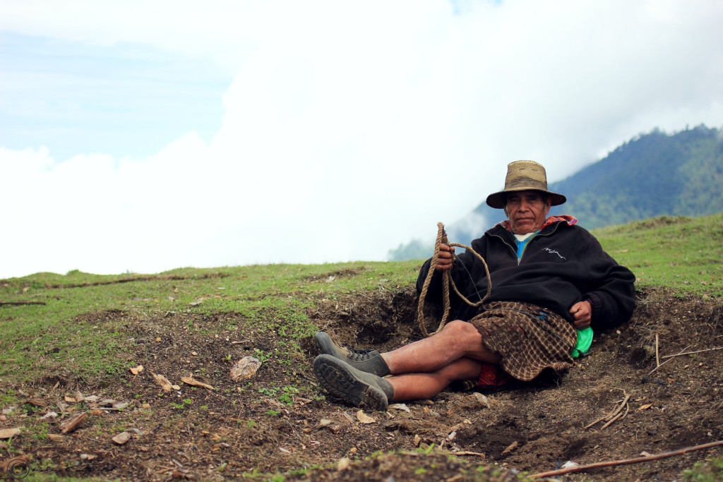 Mayan Shepherd Somewhere in the Mountains Between Xela and Lake Atitlan, Guatemala