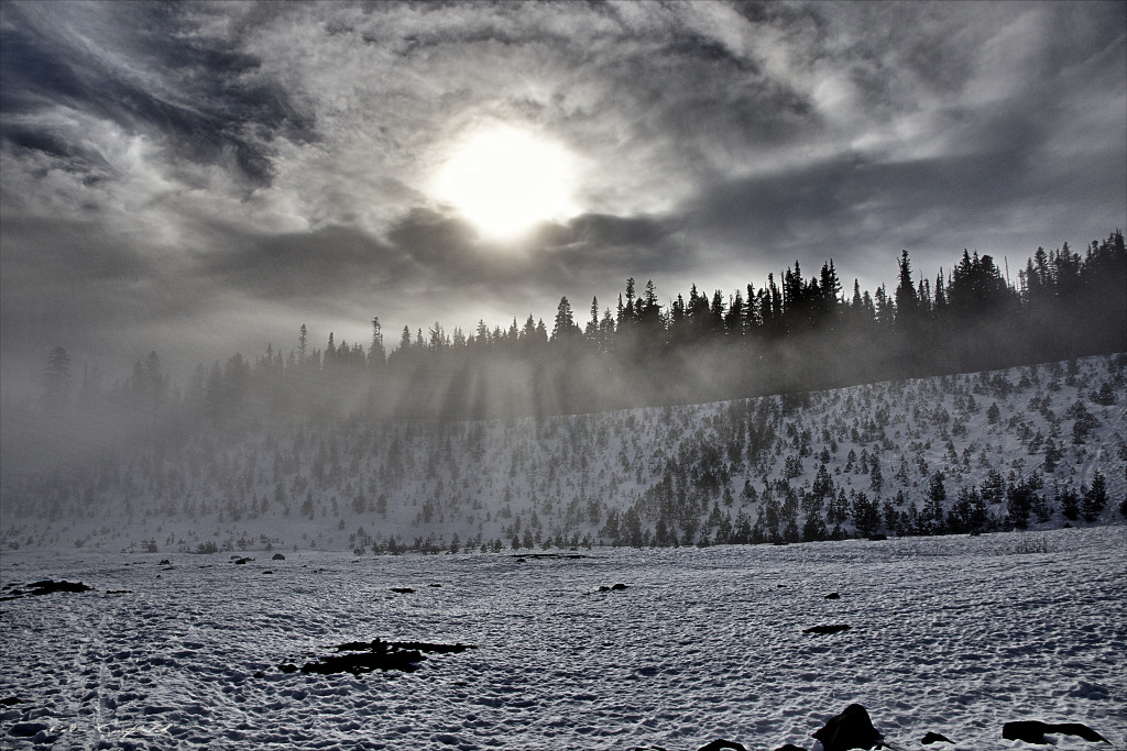 A foggy afternoon at the White River East Sno Park