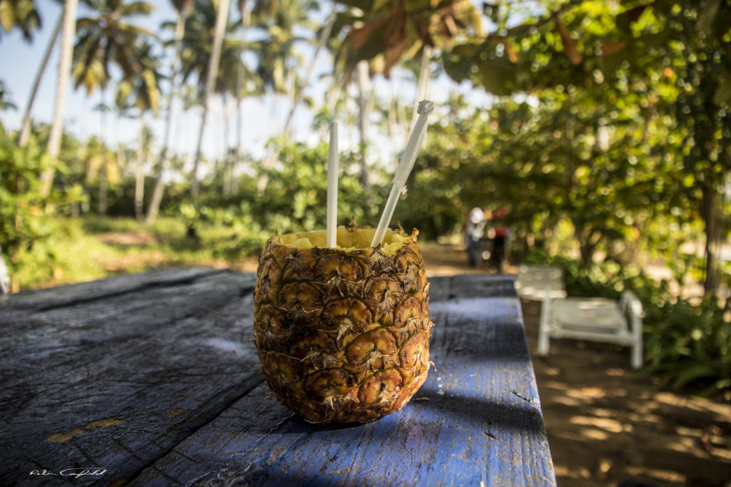 Cheers on the Dominican coast - Dominican Republic, 2016