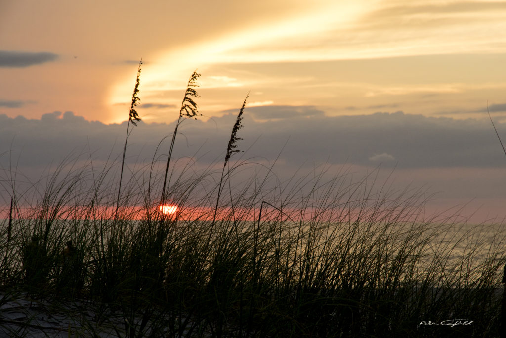 Sunset on the West-ish Coast - Florida, USA, 2016